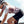 Lady Bibshort Grid Skin Dames - Black